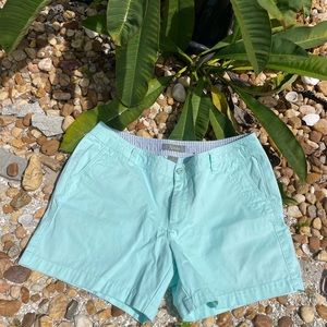 Cute Natural Reflection Shorts in Seafoam Green